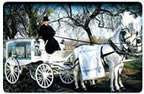 Hearses & Transport 